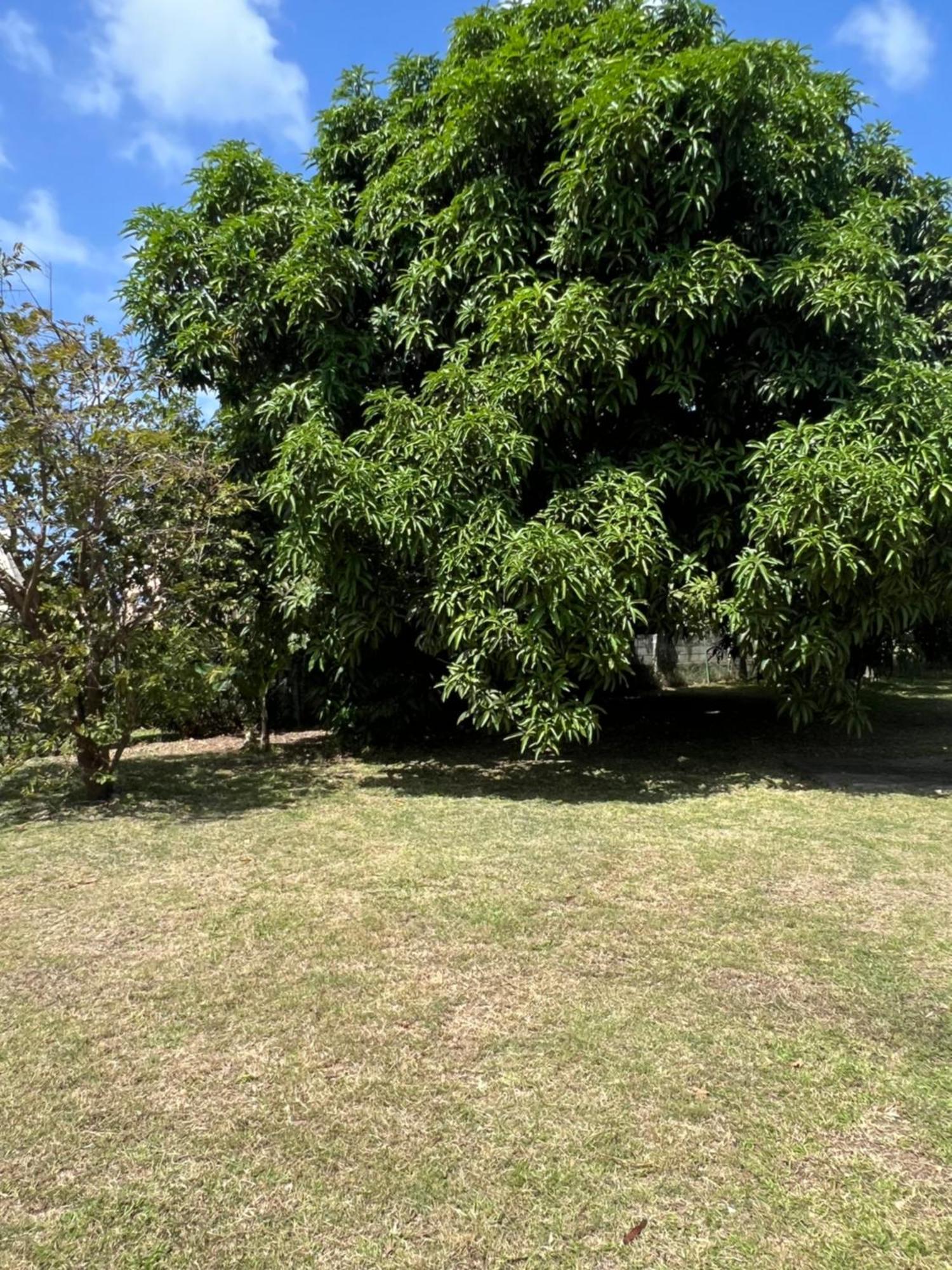 Entire Home - West Coast Barbados Saint Peter Εξωτερικό φωτογραφία